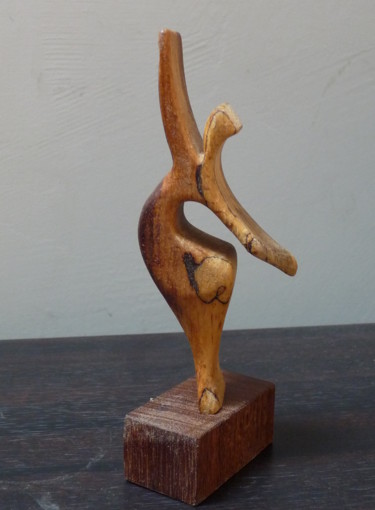 Sculpture intitulée "kasiopea" par Sebastien Riga, Œuvre d'art originale, Bois