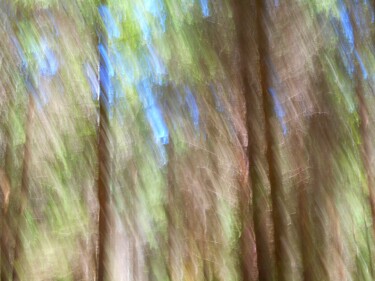 Photography titled "Une Pluie de Couleu…" by Philippe Berthier, Original Artwork, Digital Photography