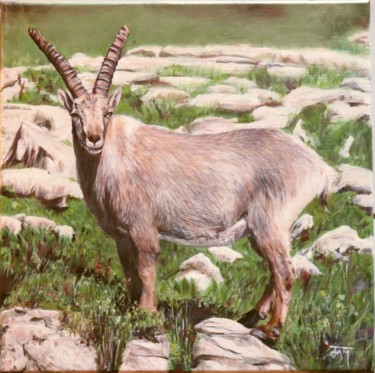 Bouquetin en pose Peinture intitulée "Bouquetin en pose" par Fam, Œuvre d'art originale, Huile
