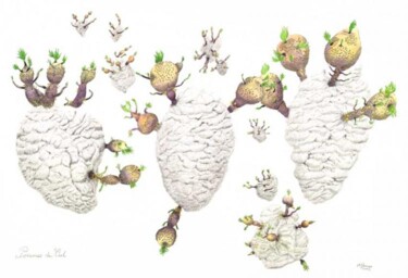 图画 标题为“Pommes de Ciel” 由Myriam Schmaus, 原创艺术品, 石墨 安装在纸板上