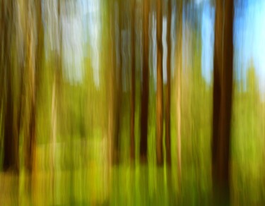 Photographie intitulée "De Bas en Haut" par Philippe Berthier, Œuvre d'art originale, Photographie numérique