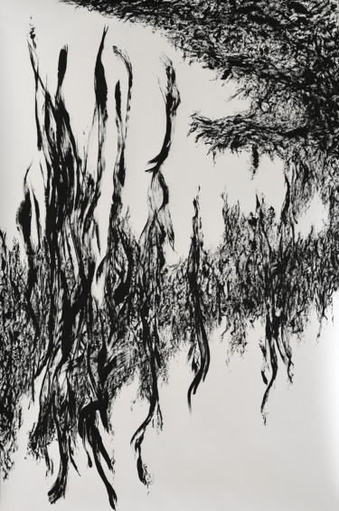 Peinture intitulée "ABSTRACT Encre de C…" par Yann Pelcat, Œuvre d'art originale, Encre