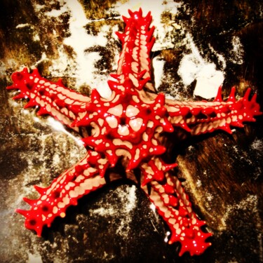 Photography titled "the star" by Paobel, Original Artwork, Digital Photography