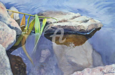Stone in water Painting titled "Stone in water" by Samira Yanushkova, Original Artwork, Watercolor