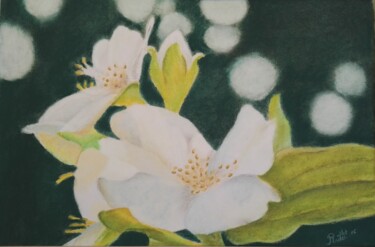 Drawing titled "SERINGA" by Andre Rollet, Original Artwork, Pastel