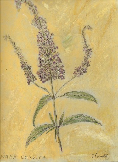 제목이 "Fleurs de Corte Cor…"인 미술작품 Bobdiyann로, 원작, 파스텔