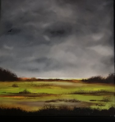 Peinture intitulée "ENVOL" par Meskar, Œuvre d'art originale, Huile Monté sur Châssis en bois