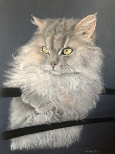 Dessin intitulée "« Loupo » Chat selk…" par Jess.C.Art, Œuvre d'art originale, Pastel