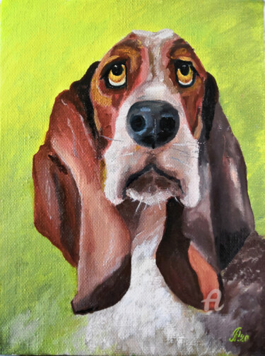 Dog Basset hound