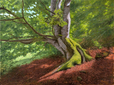 Painting titled "Old Beech" by Dejan Trajkovic, Original Artwork, Oil