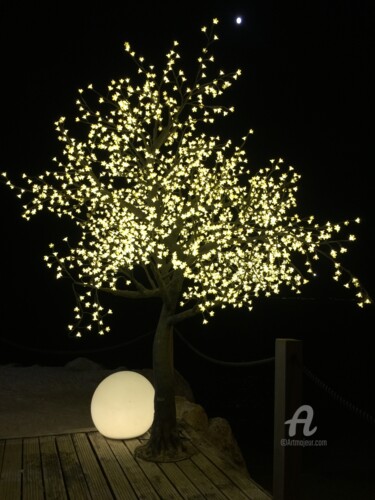 摄影 标题为“Arbre de lune” 由Dauking, 原创艺术品, 数码摄影