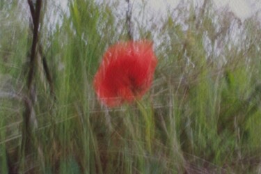Photographie intitulée "Popii 36/6 [0x30C4B…" par Éric Petr, Œuvre d'art originale, Photographie manipulée
