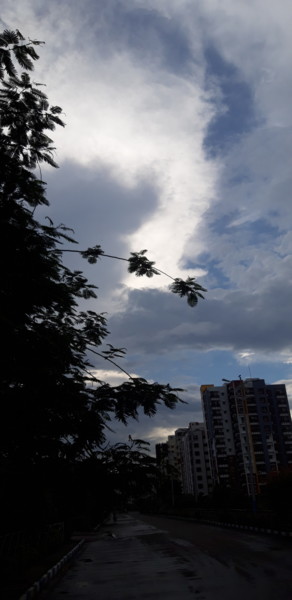 摄影 标题为“Leaf in the foregro…” 由Avik Chakravorty, 原创艺术品, 非操纵摄影