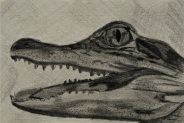 Printmaking titled "Junior" by Liz Paker, Original Artwork, Monotype