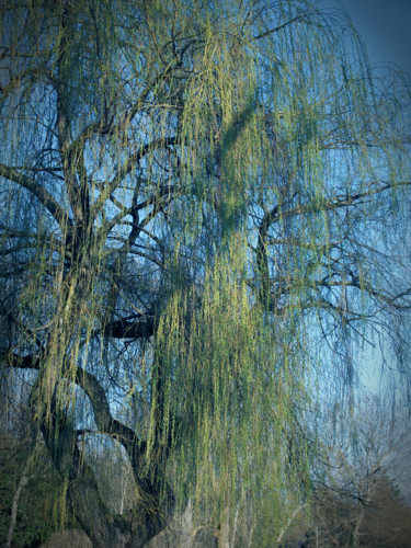 Photographie intitulée "Ruissellement#1" par Chupalia, Œuvre d'art originale, Photographie non manipulée