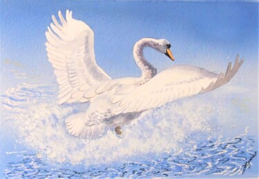 envol du cygne blanc - aquarelle originale signée Painting titled "envol du cygne blan…" by Patricia Giroldini Hyvernat, Original Artwork, Watercolor