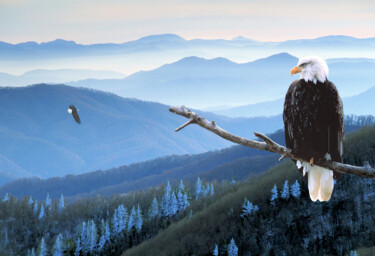 Digital Arts titled "Dawn in America." by Radiy Bohem, Original Artwork, Digital Photography