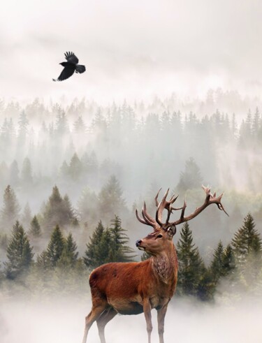 Digital Arts titled "Deer in the taiga.…" by Radiy Bohem, Original Artwork, Digital Photography