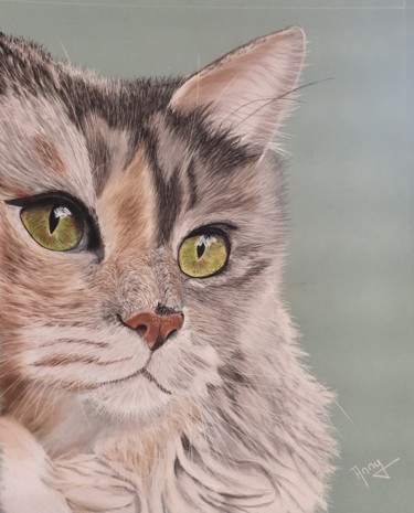 Peinture intitulée "Beauté féline" par Anny Burtscher-Beaudoin, Œuvre d'art originale, Pastel
