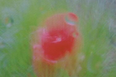 Photographie intitulée "Popii 36/28 [0xB07F…" par Éric Petr, Œuvre d'art originale, Photographie non manipulée