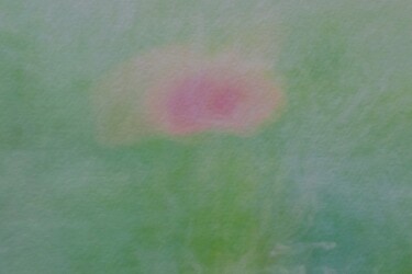 Photographie intitulée "Popii 36/30 [0xB094…" par Éric Petr, Œuvre d'art originale, Photographie non manipulée