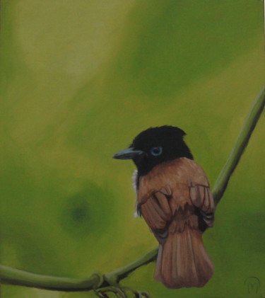 Martin-pêcheur Thaïlandais Painting titled "Martin-pêcheur Thaï…" by Guillaume Caron-Maus, Original Artwork, Oil
