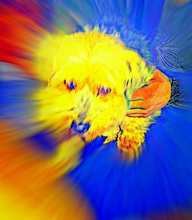 Photographie intitulée "mon brave toutou" par Mysane, Œuvre d'art originale, Photographie numérique