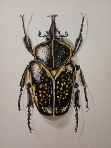 Painting titled "coléoptère jaune et…" by Virginie Isfaoui, Original Artwork, Watercolor