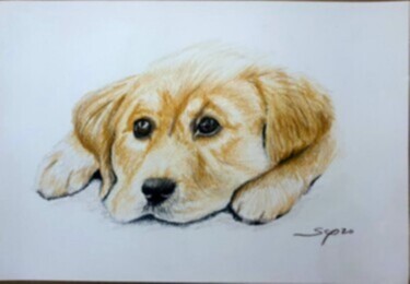 Painting titled "Puppy" by São Vieira, Original Artwork, Pencil