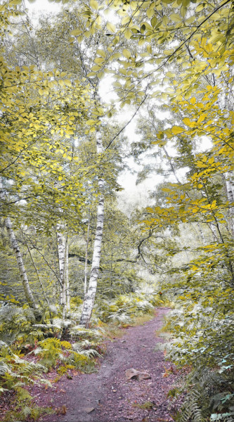 Photographie intitulée "Le chemin de la sag…" par Michel Guillaumeau, Œuvre d'art originale, Photographie numérique