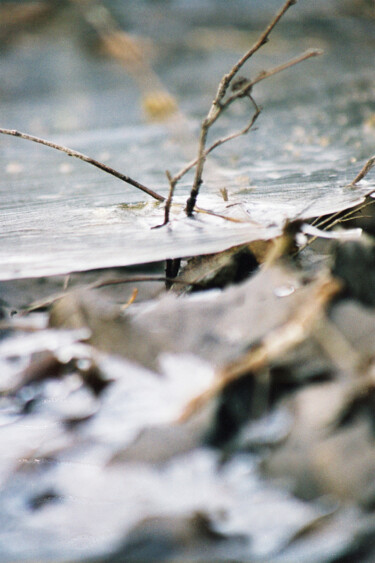 Photography titled "sans titre 2" by Dominique Borgnet, Original Artwork, Analog photography