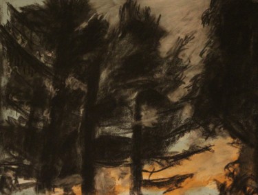 Quelque chose de la forêt l’été II