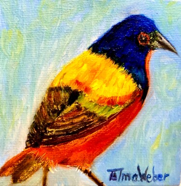 Colored Bird