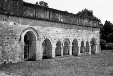 摄影 标题为“L'abbaye” 由Frédéric Duchesnay, 原创艺术品, 电影摄影