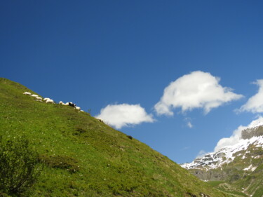 Moutons du ciel, moutons des champs "Moutons du ciel, mo…" başlıklı Fotoğraf Jean-Michel Liewig tarafından, Orijinal sanat, Fotoşopsuz fotoğraf