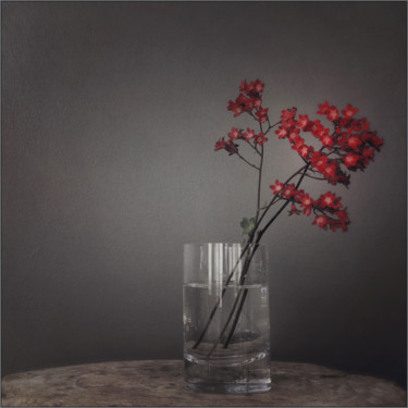 Photographie intitulée "Bouquet 5" par Nicole Rochedix, Œuvre d'art originale, Photographie numérique