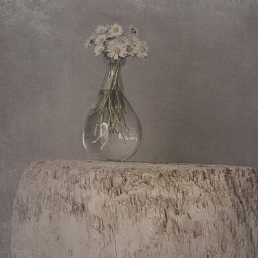 Bouquet 6 Photographie intitulée "Bouquet 6" par Nicole Rochedix, Œuvre d'art originale, Photographie numérique