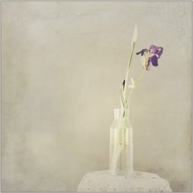 Bouquet 10 Photographie intitulée "Bouquet 10" par Nicole Rochedix, Œuvre d'art originale, Photographie numérique
