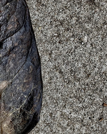 Photography titled "Transitional State" by Martin Vallis, Original Artwork, Digital Photography