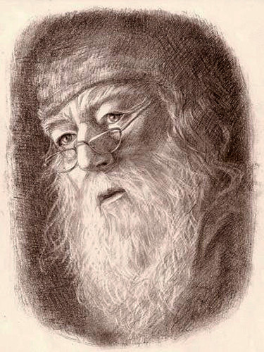 Σχέδιο με τίτλο "Dumbledore" από Olga Shevchenko, Αυθεντικά έργα τέχνης, Γραφίτης