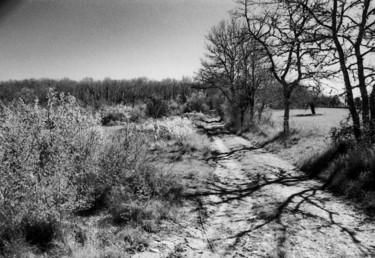 Chemin de campagne
