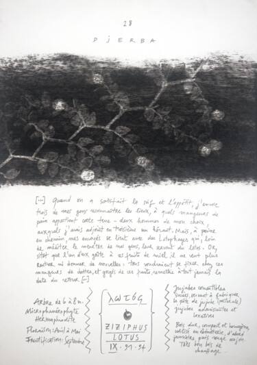 Dessin intitulée "ZIZIPHUS LOTUS." par Gaele Flao, Œuvre d'art originale, Fusain