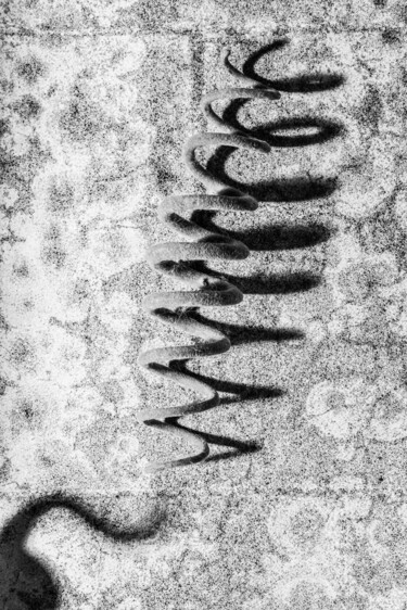 Photography titled "Shadows." by Tatjana Siadova, Original Artwork, Digital Photography