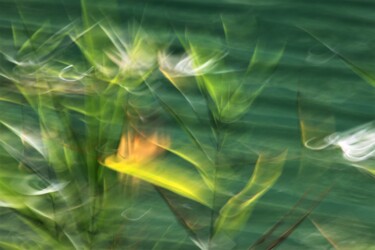 Photography titled "Série Effets plumet…" by Marie Marlène Mahalatchimy, Original Artwork, Digital Photography
