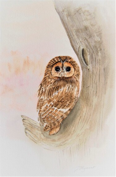 Painting titled "chouette hulotte -…" by Patricia Giroldini Hyvernat, Original Artwork, Watercolor