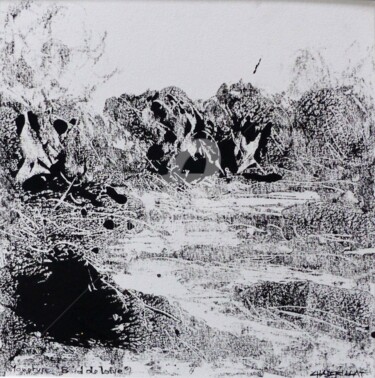 Gravures & estampes intitulée "Bord de Loire "séri…" par Laurent Chabrillat, Œuvre d'art originale, Monotype