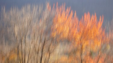 Photography titled "Je ne sais pas.....…" by Philippe Berthier, Original Artwork, Digital Photography