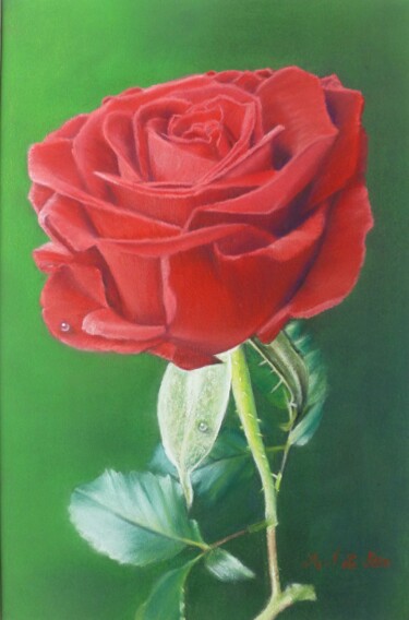 rose de velours 2 Drawing titled "rose de velours 2" by Marie-Françoise Le Néen, Original Artwork, Pastel