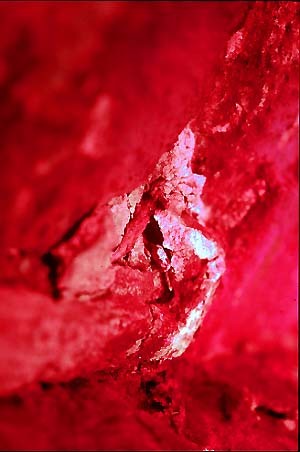 제목이 "rouge9"인 디지털 아트 Frederic Therisod로, 원작