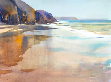 Papagayo Beach